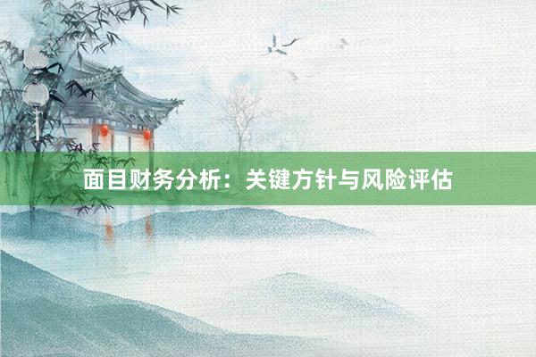 面目财务分析：关键方针与风险评估